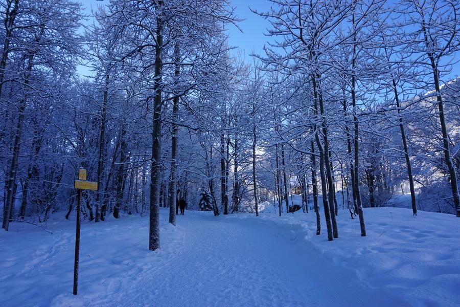 Balade jusqu'au hameau des Verneys - Itinéraire de randonnée pédestre_Valloire