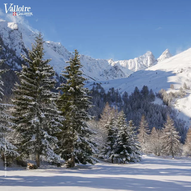 Aujourd'hui ❄️ en passant par le hameau de Bonnenuit, après les chutes de neige de la nuit 🤩 

#valloire #galibier #valloiregalibier #picoftheday #myauvergnerhonealpes #neige #ski #vacances #montagne #alpes #savoie