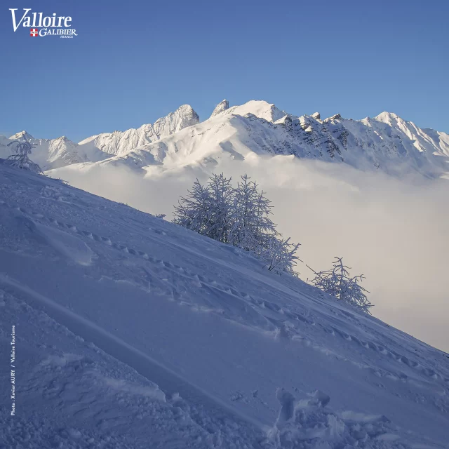 [En direct] ❄️❄️❄️ neige fraîche et généreux soleil ☀️ pour commencer l'année en beauté 😍 

#valloire #galibier #valloiregalibier #picoftheday #neige #ski #vacances #montagne #alpes #savoie